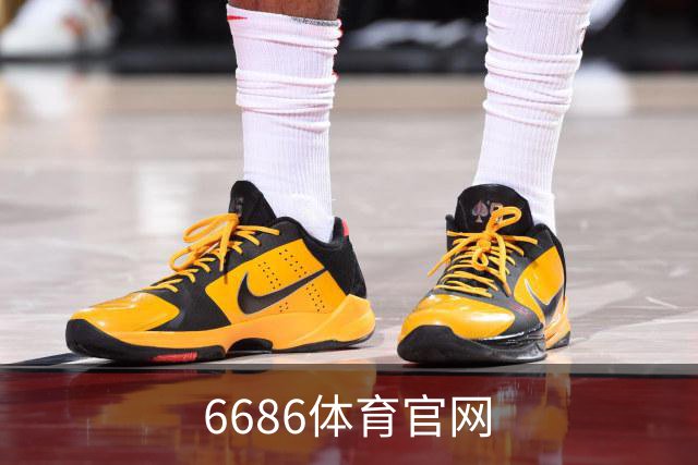 6686体育官网公司介绍